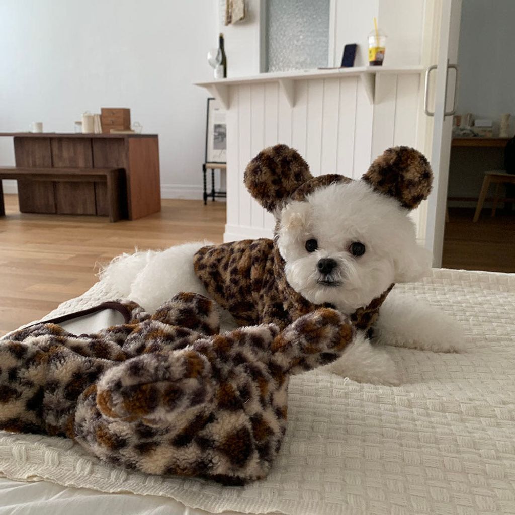 image_E1B40008-0A1E-4143-9357-50DD9FABC0CC_1766493551