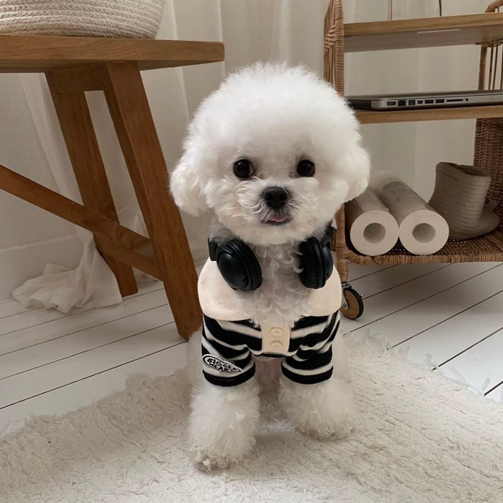 image_E187D991-BD3C-4375-9632-FB08F7CF3B4F_1766494697