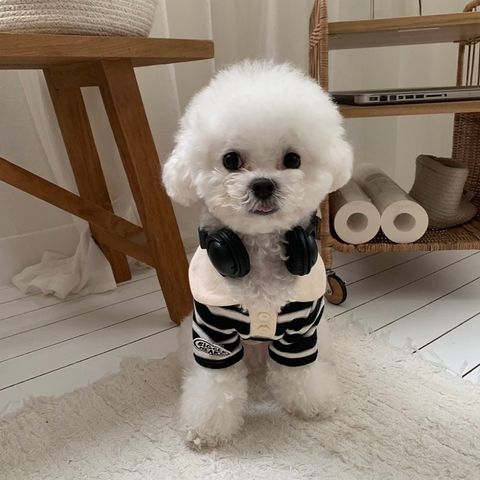 image_E187D991-BD3C-4375-9632-FB08F7CF3B4F_1766494697