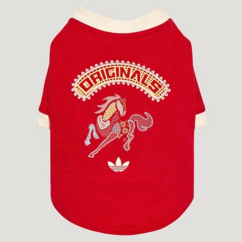 image_678C21BE-3AA3-4D0C-B29D-C716341096B4_1766499214