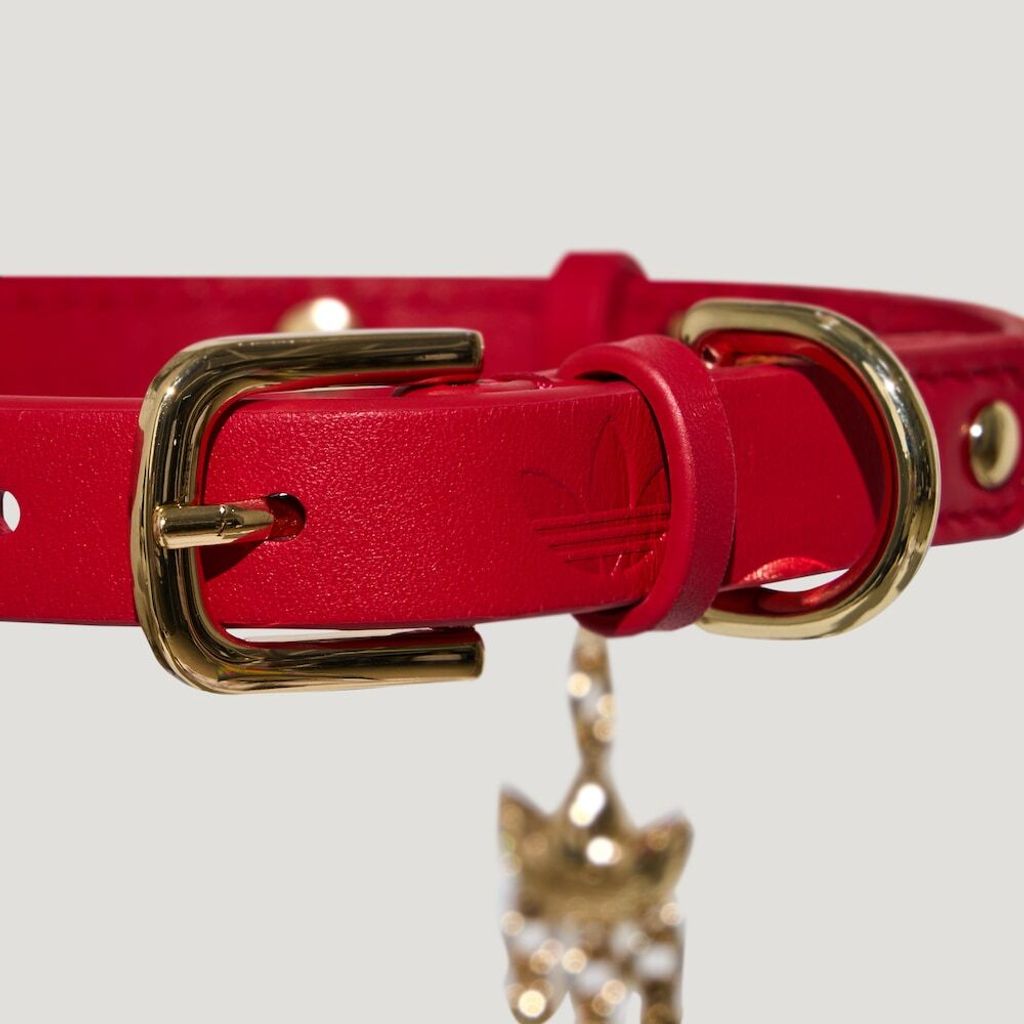 image_7122D021-3F1D-41ED-9DBF-67E27E34C3F7_1766507092