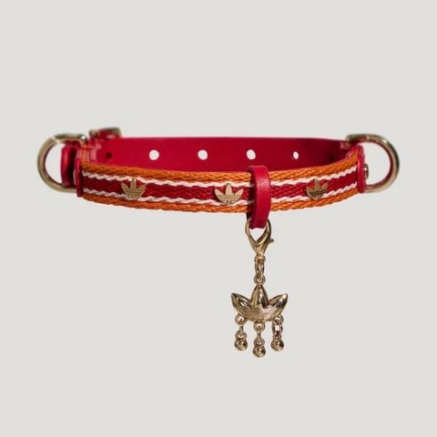 image_DB5E6D72-AE1D-47DE-8A25-70A6B2B67F52_1766507125