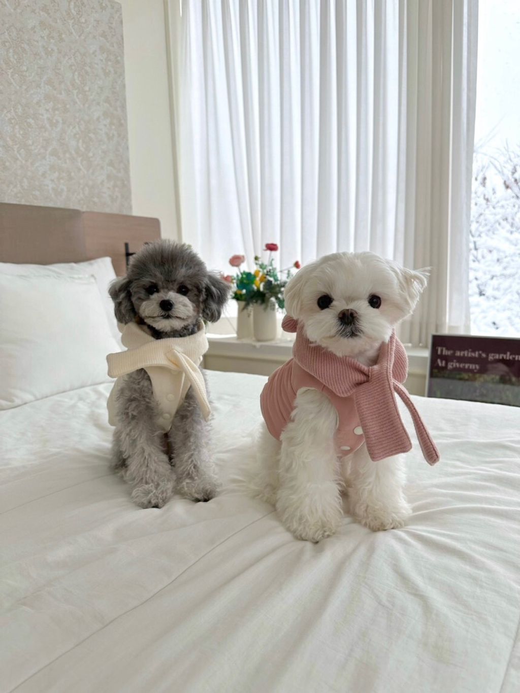 image_DB789F9E-2ADB-485E-8DDF-26F16A37D262_1766656418