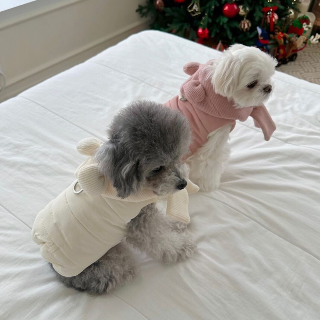 image_F4A1ECA4-925E-42FB-8527-F8EA84B7EA1F_1766656418