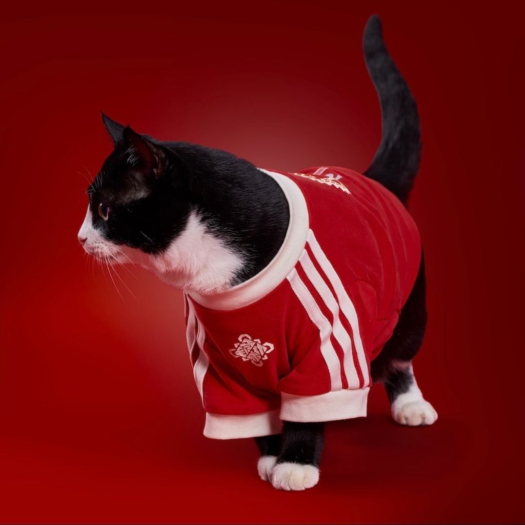 image_97D7FFC9-17B1-44C2-B13B-76CDB402C426_1767003422