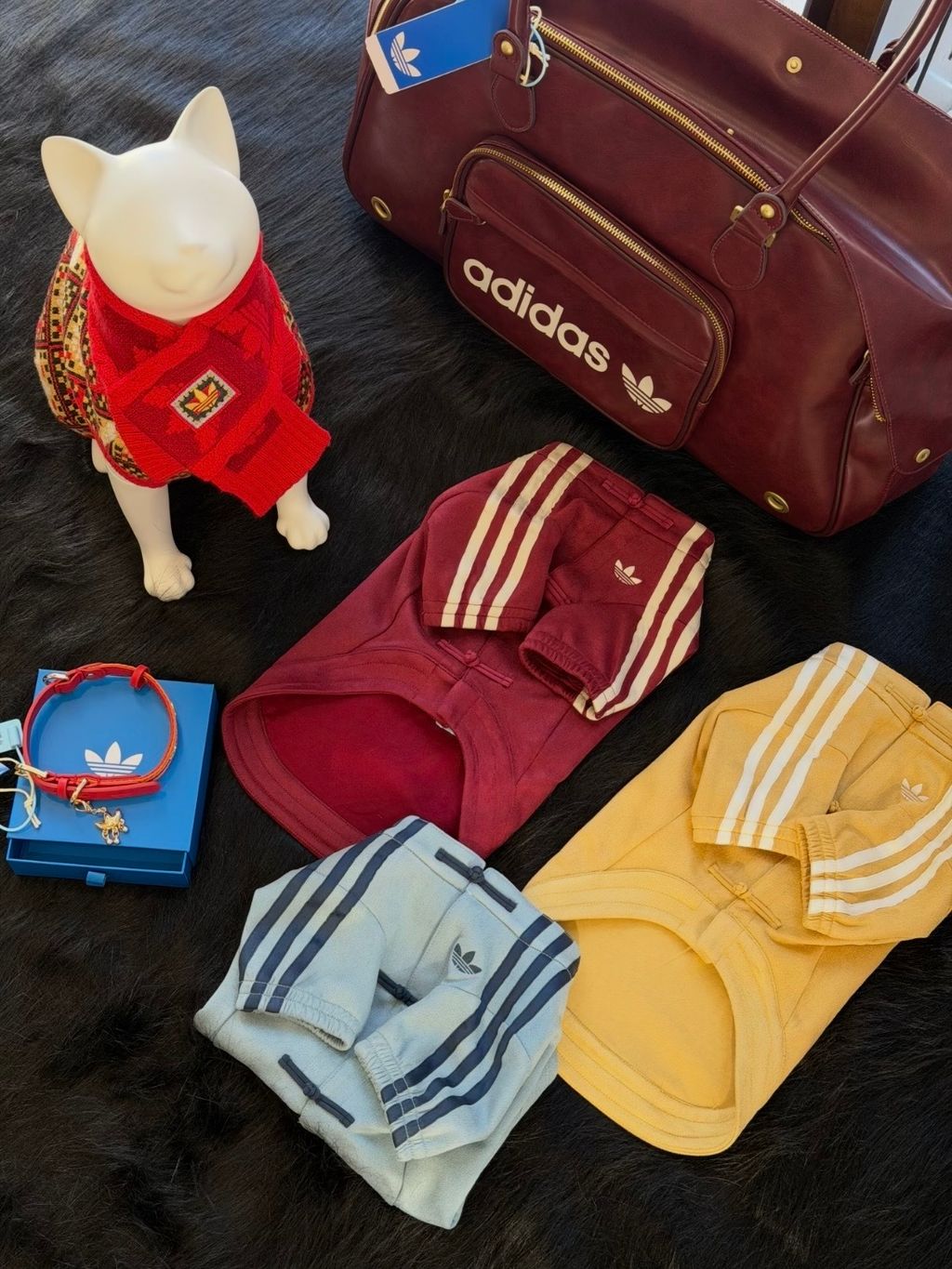 image_885F80F6-BE67-433F-83E2-FDBB3D86229B_1767003947