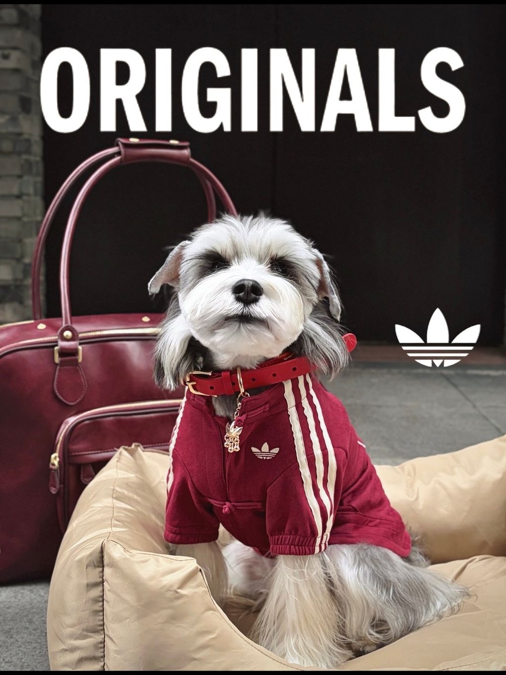 image_40EDC48A-8510-4420-BDFF-7030333C8259_1767003947