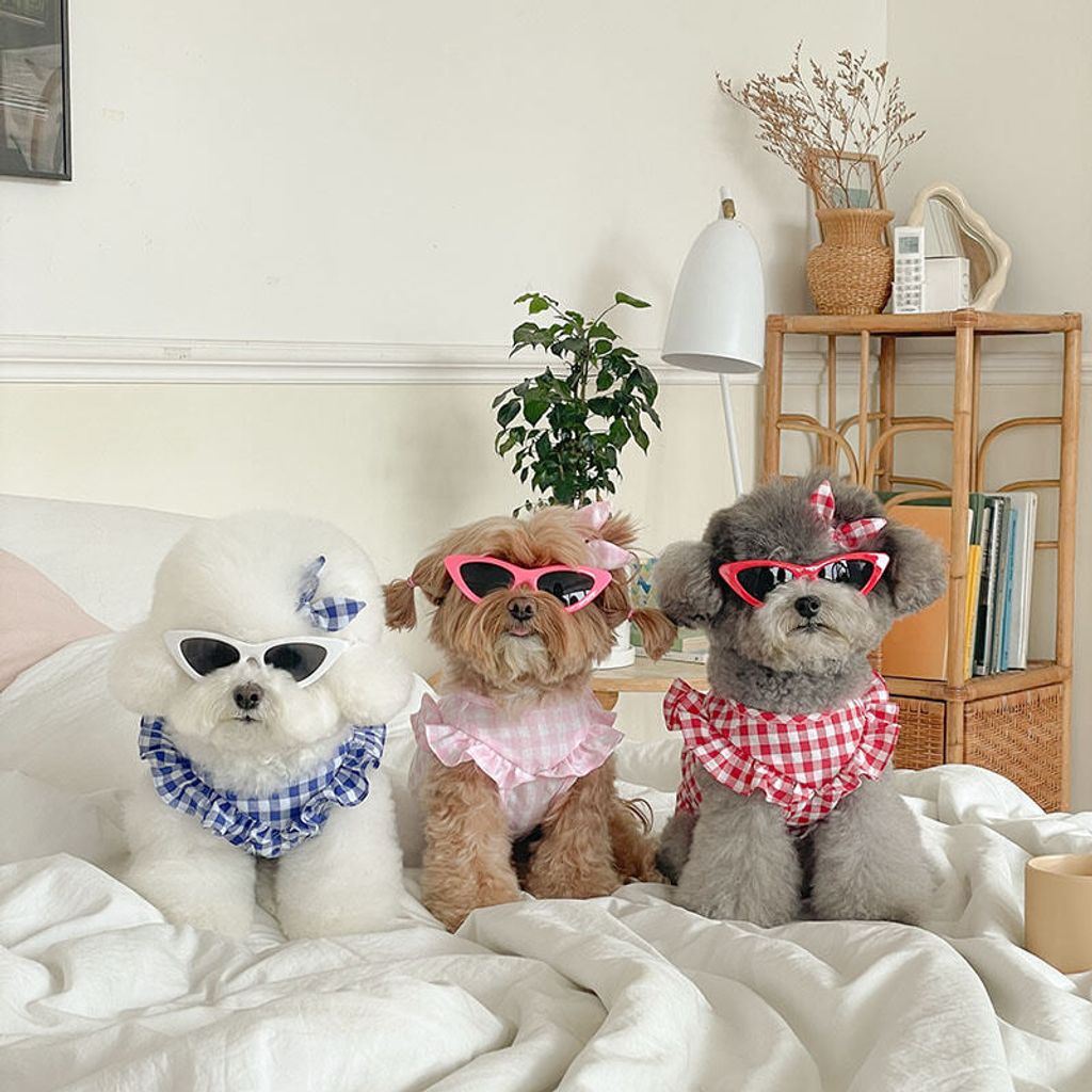 image_2BC3B973-0B84-4698-A7A3-65358FD40FCC_1767274530