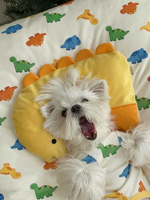 image_F3F808E5-A827-4846-AE16-3B571AF6A967_1768505586