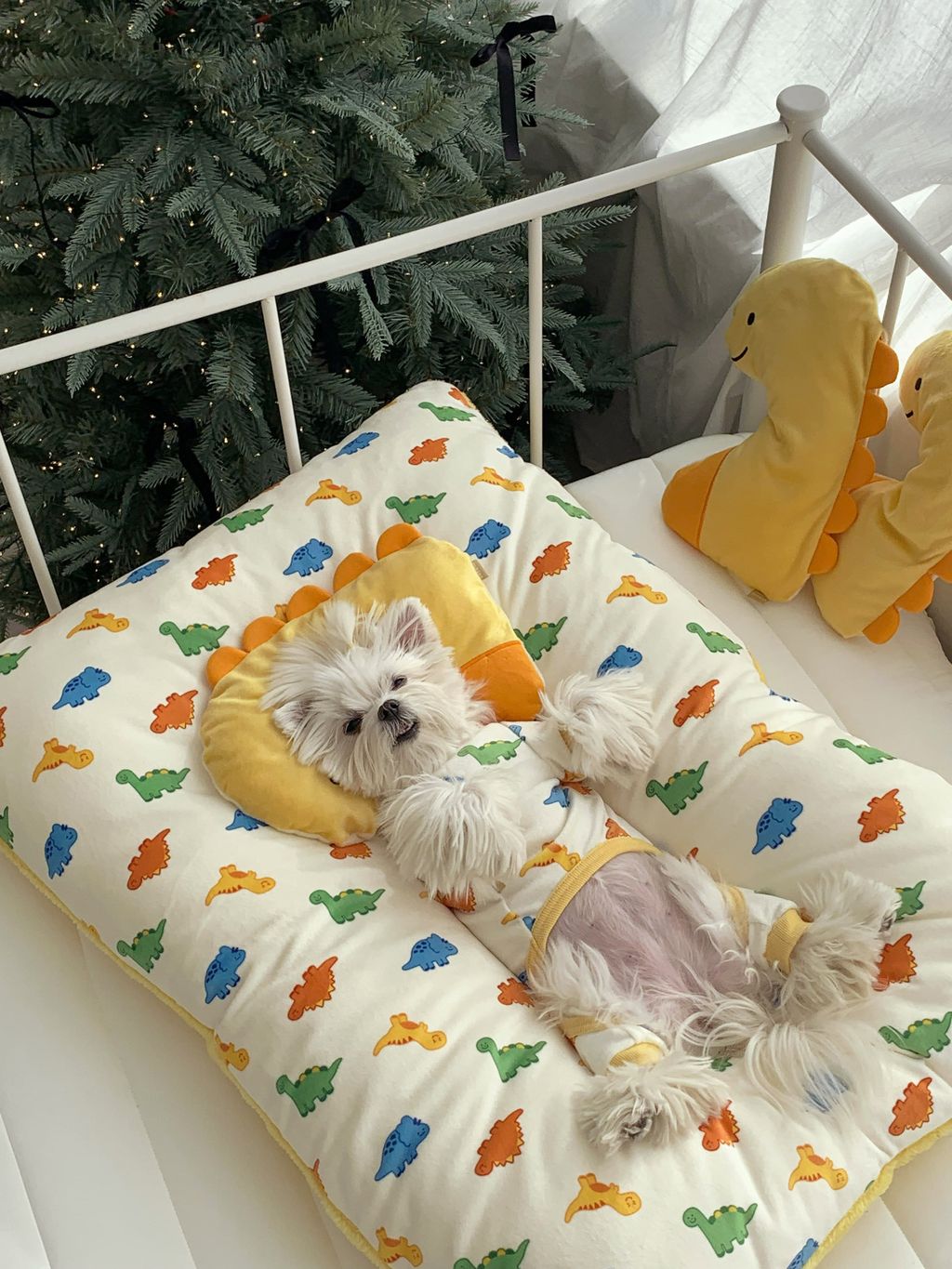 image_39EA7C96-B6DF-470F-813C-1FB276B7233C_1768505586