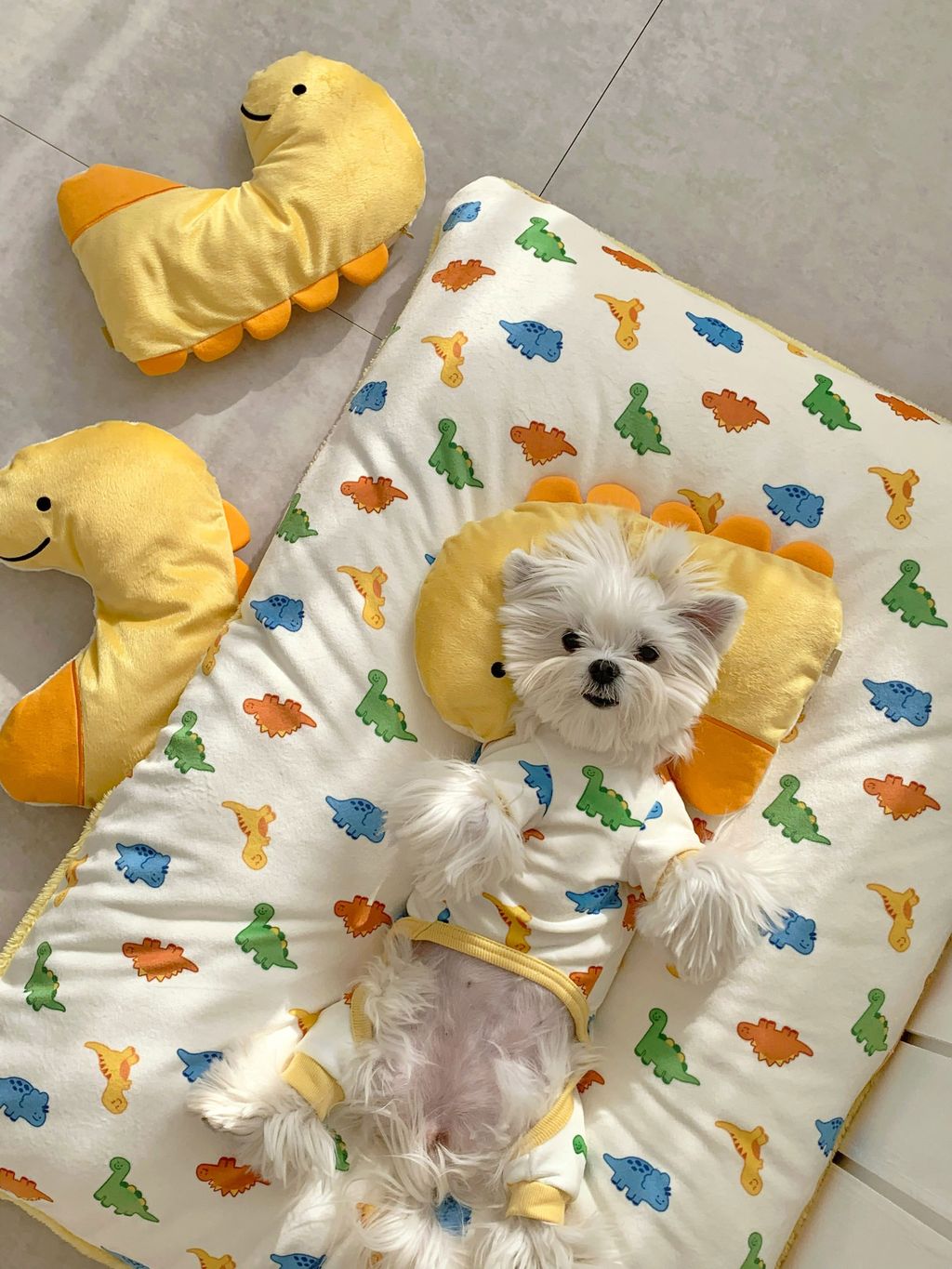 image_200E4ECC-999D-479F-8DDD-56D20E98EC31_1768505586