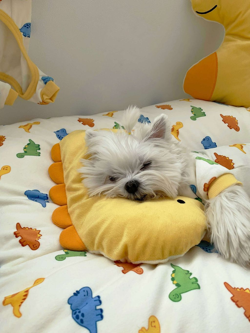 image_FACDCE5C-F9C3-43EB-8E76-9118642C2898_1768505586