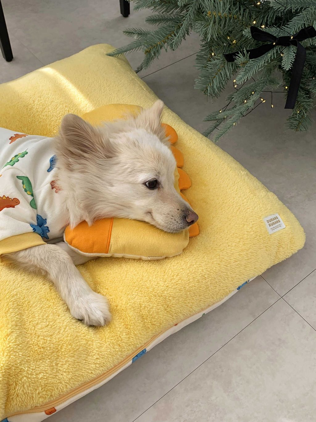 image_F95BADD1-10AC-4AB9-A888-3A41CC13649A_1768505586