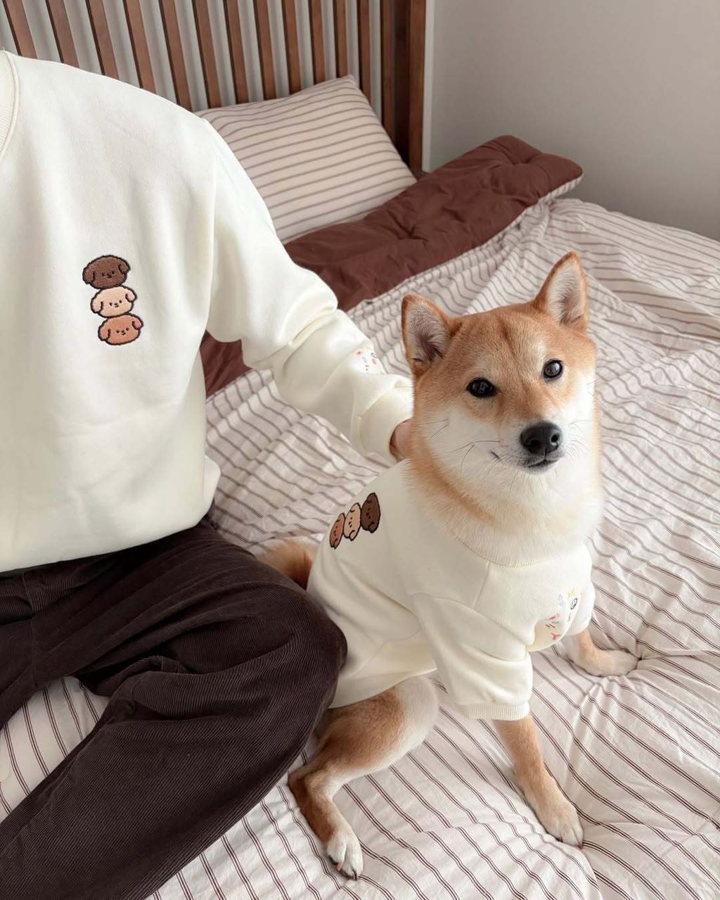 image_401329AA-42EF-4170-A041-684BACA4F293_1767450657