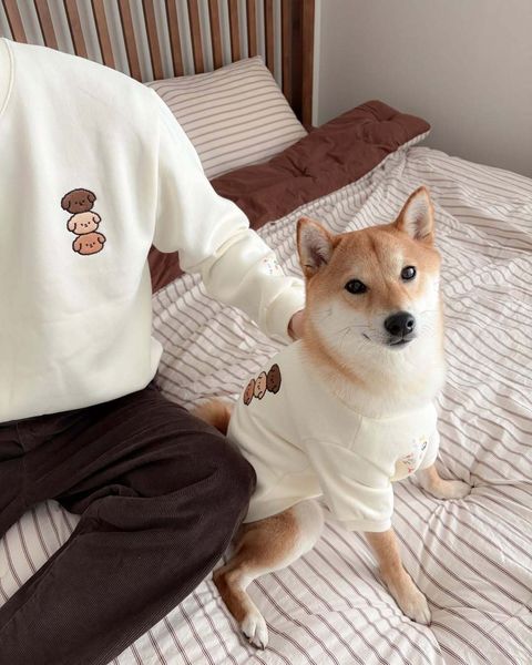 image_401329AA-42EF-4170-A041-684BACA4F293_1767450657