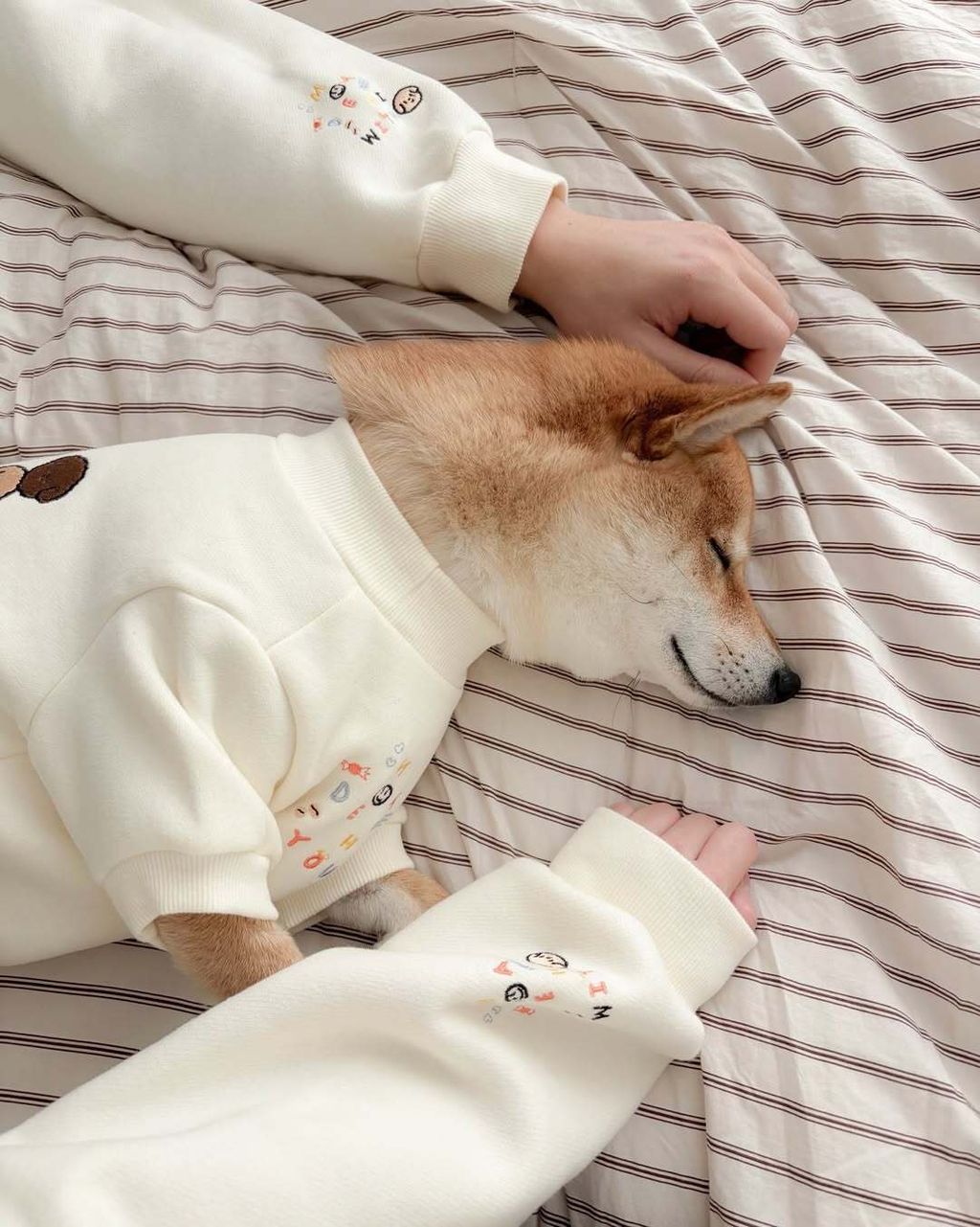 image_7A0FE018-CBF2-45D1-A4AF-BA0415C3BD6A_1767450657