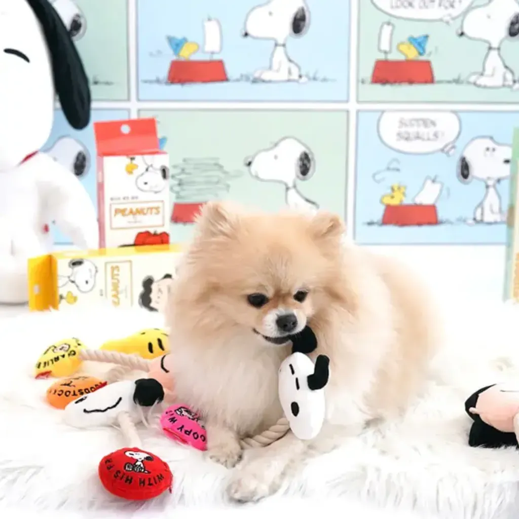 tw-11134207-7qukx-ljwzfho9o3f1fb