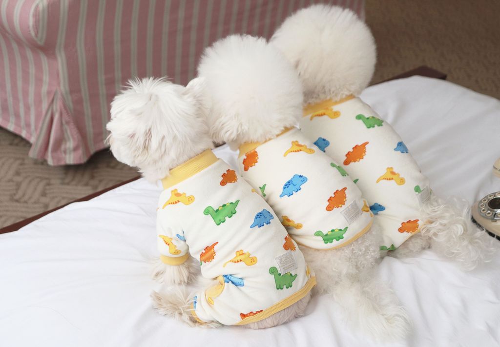 image_3DE62CF0-4596-4AAF-9850-C30C868435F0_1768504409