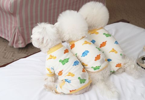 image_3DE62CF0-4596-4AAF-9850-C30C868435F0_1768504409