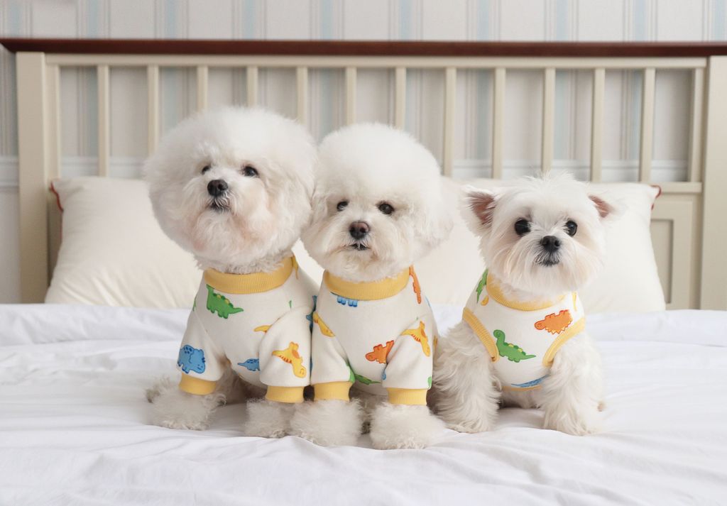 image_324BFAF8-0562-4879-B36D-EEE311163C80_1768504409