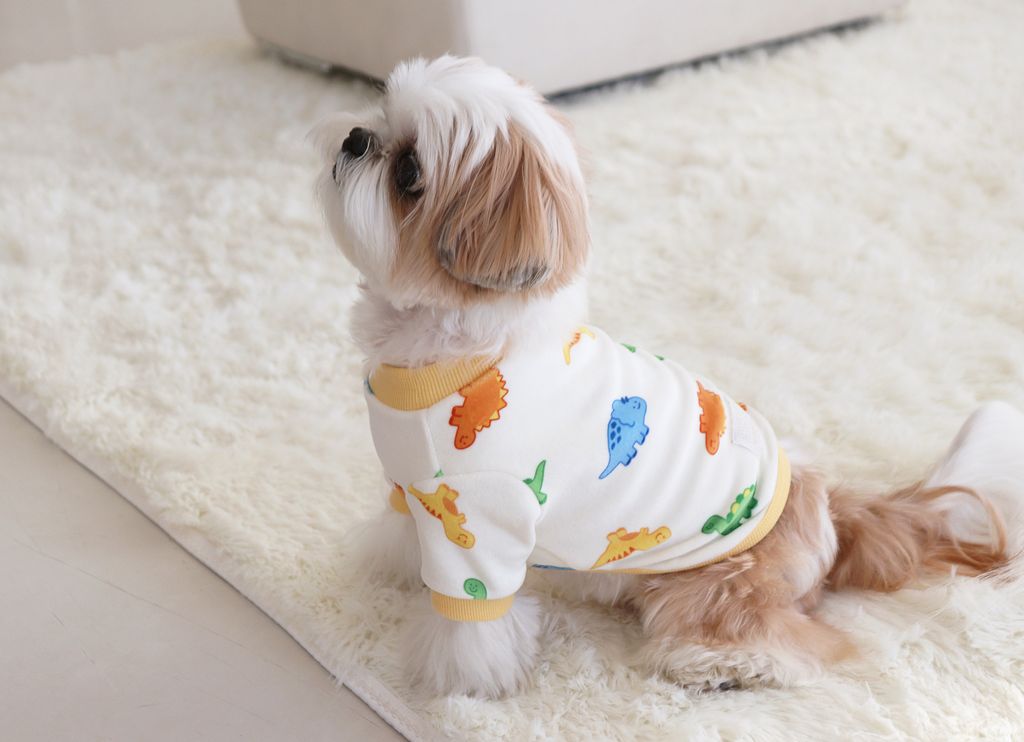 image_359BD194-B6AD-4186-943D-070C44562B94_1768504410