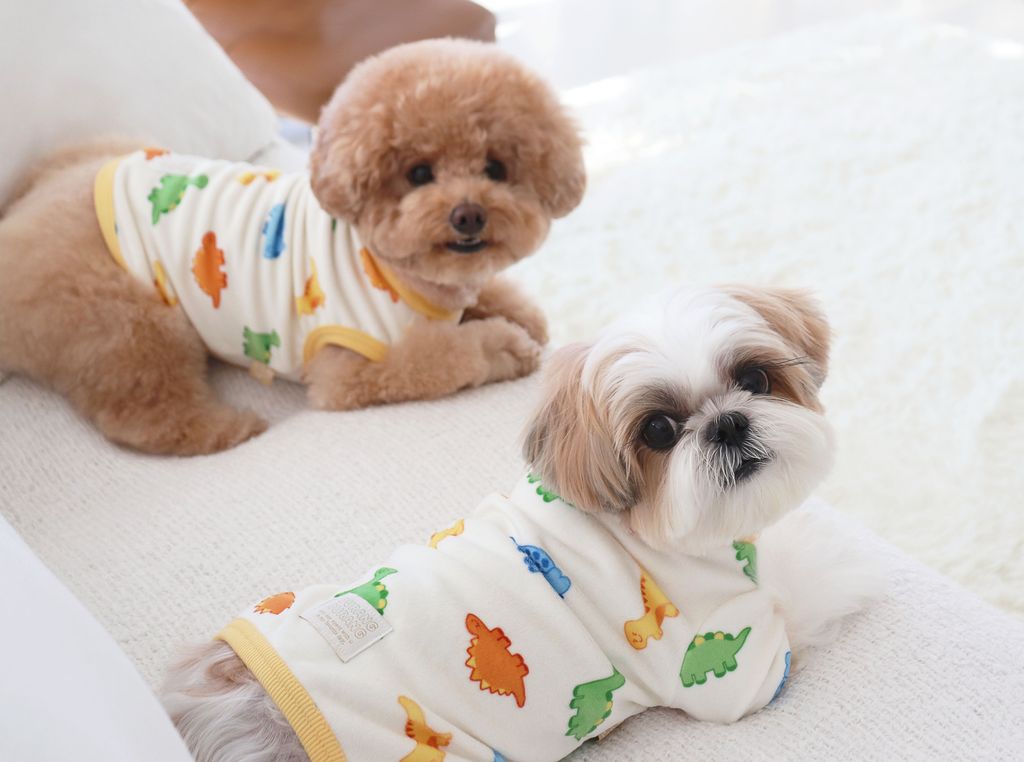 image_41DB8835-A4E3-4139-ACAF-1DD2427D6580_1768504411