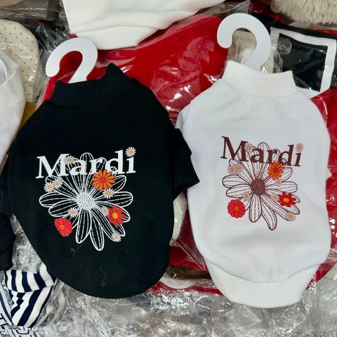 image_6DFC3657-477C-4483-934D-7BD36105E306_1766481393