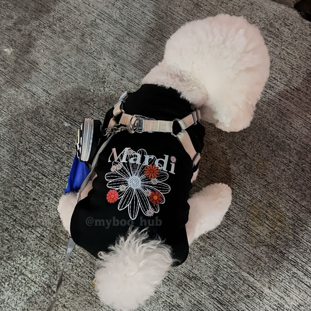 image_9E8BCC6B-20C7-4B85-9AB2-76FCDC53F201_1766481393