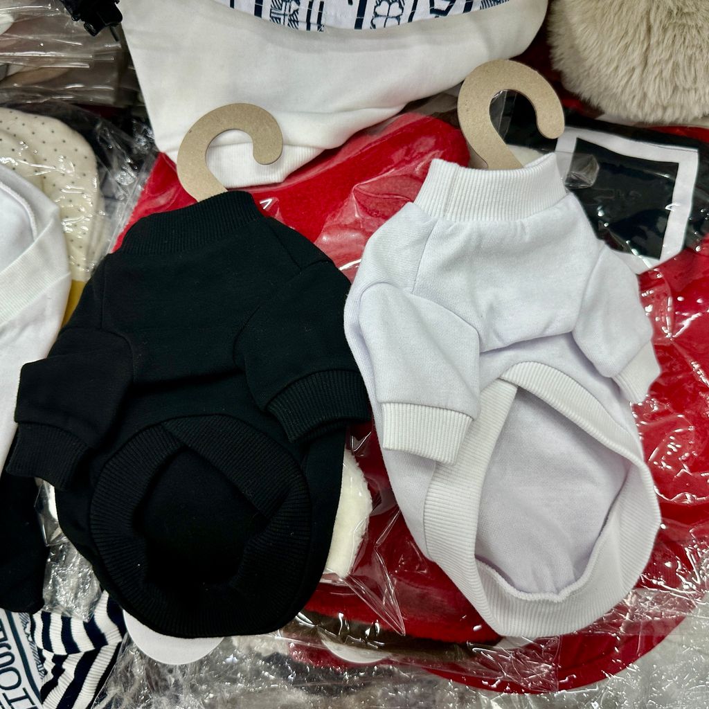 image_B0C2FDB4-C73D-4544-AA9D-2F449A548BF9_1766481393