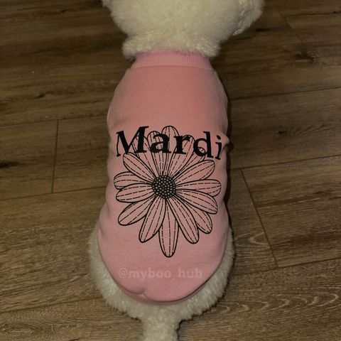 image_0FBE7BA9-A3A0-4B46-8727-1587259A7DD2_1766481266