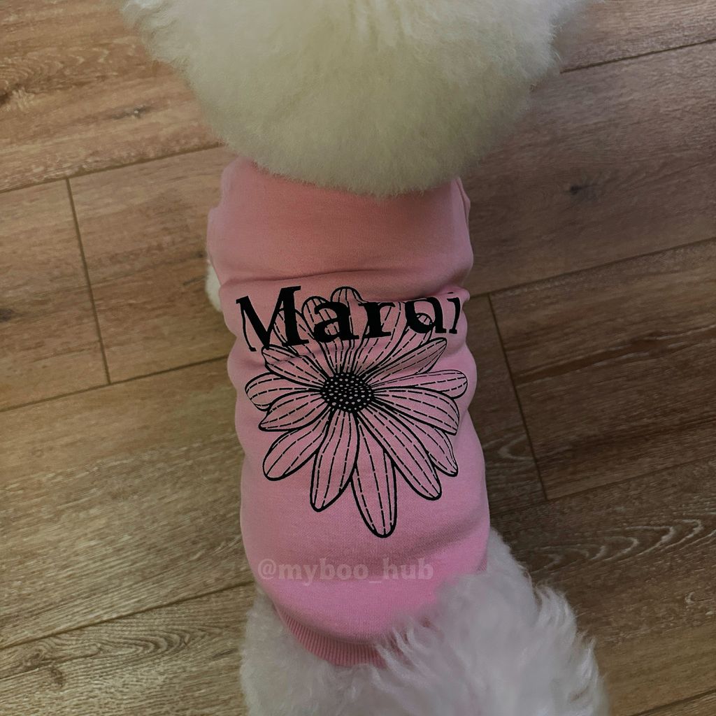 image_2080D6E5-8F15-410A-96A0-F8C91E221DD1_1766481266