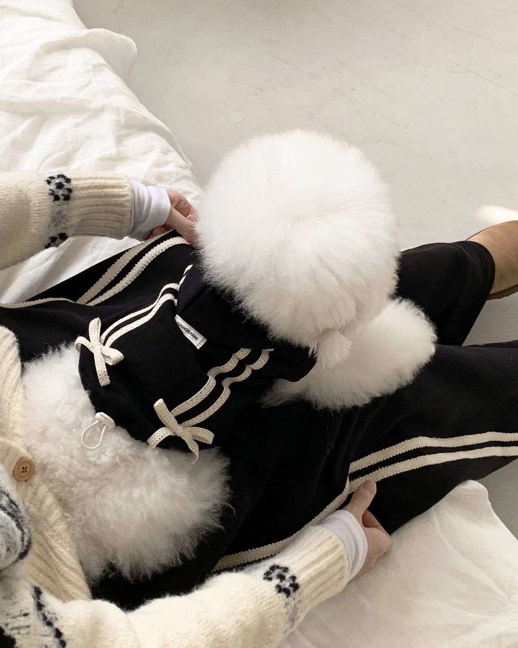 image_EC5EF012-2AF1-4859-B440-2CD1A369A1E8_1762794672