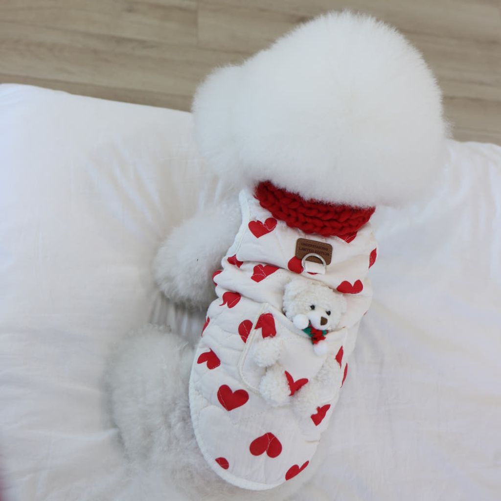 image_5600F52C-1719-4C26-A148-19EF10812C04_1766445864