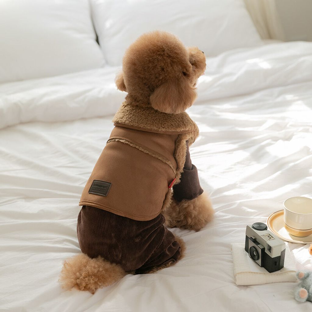 image_01B5F93D-4917-40B8-B3D5-66951AA78ABF_1767272767