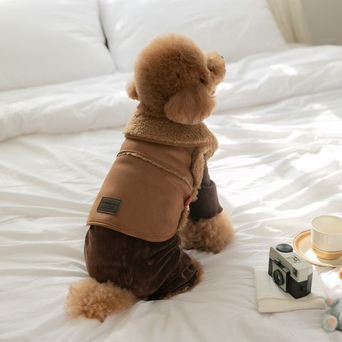 image_01B5F93D-4917-40B8-B3D5-66951AA78ABF_1767272767