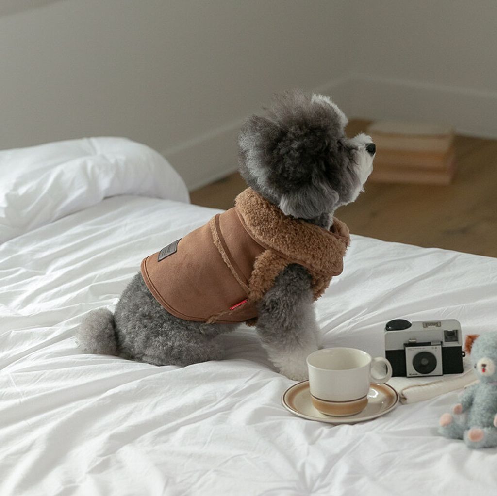 image_F556A4DD-5D30-4FFC-82E5-F9DBED686F19_1767272767