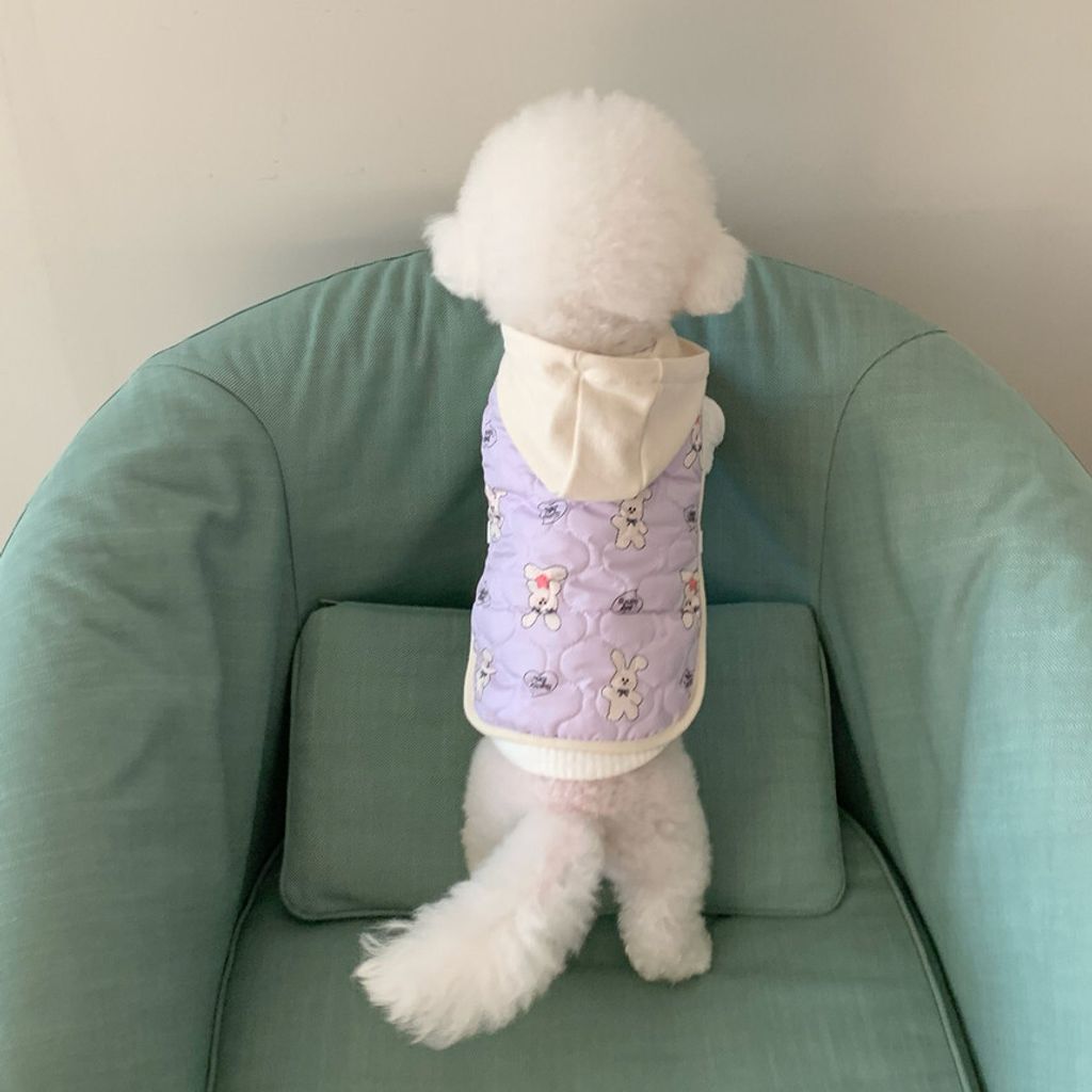 image_37F07FF9-9025-4163-94B6-1CDB0824F769_1769427555