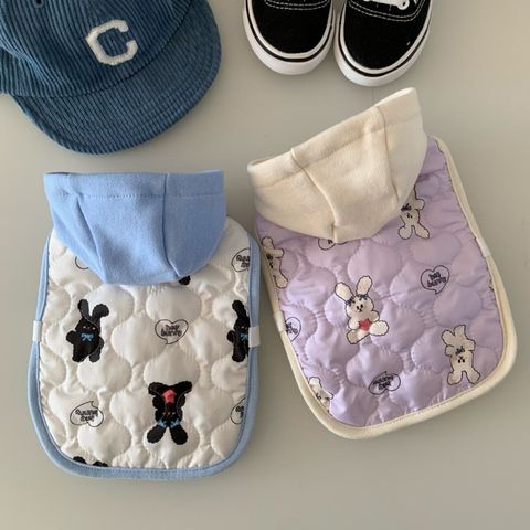 image_14AEB8F8-1CC8-40F8-BA46-6D8BCE5AAFD6_1769427555