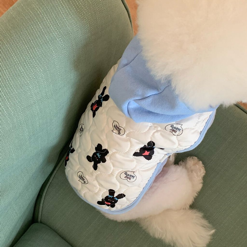 image_847224AF-5495-432B-A9BD-54FE8B5768FF_1769427555