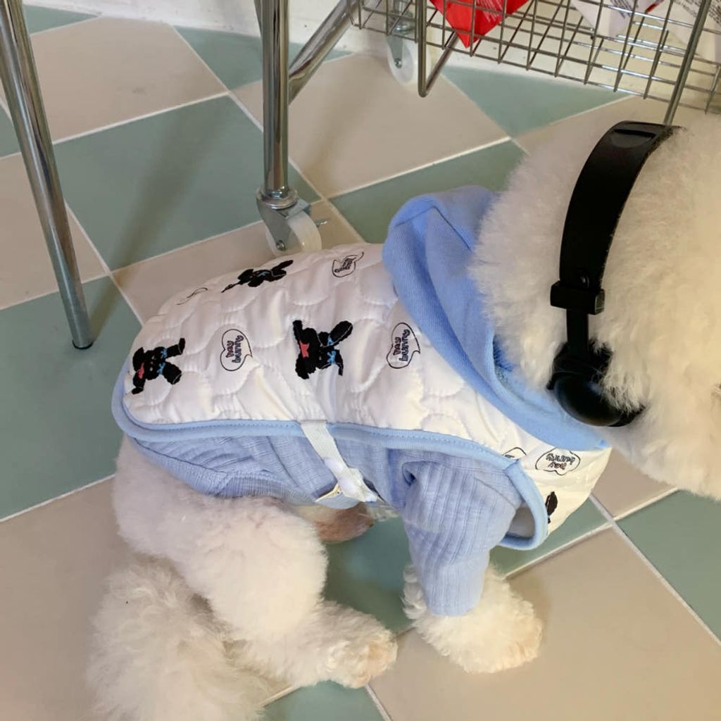 image_4EF99A33-8C6A-490C-BDF0-1199888816F7_1769427555