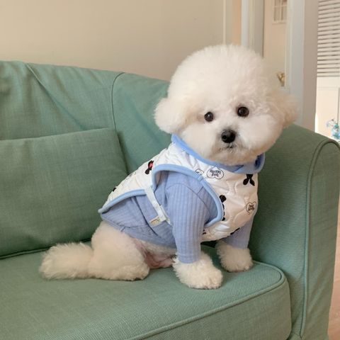 image_21FDFFF1-842A-45FD-94D8-B95C760FD49C_1769427555