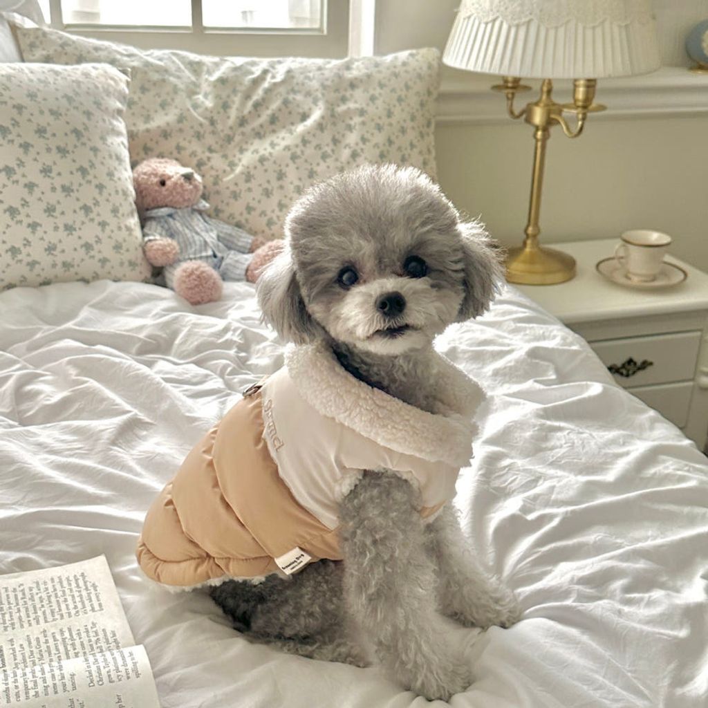 image_23D3027D-9C71-41A4-B18E-6E53ADCECCCA_1769427933