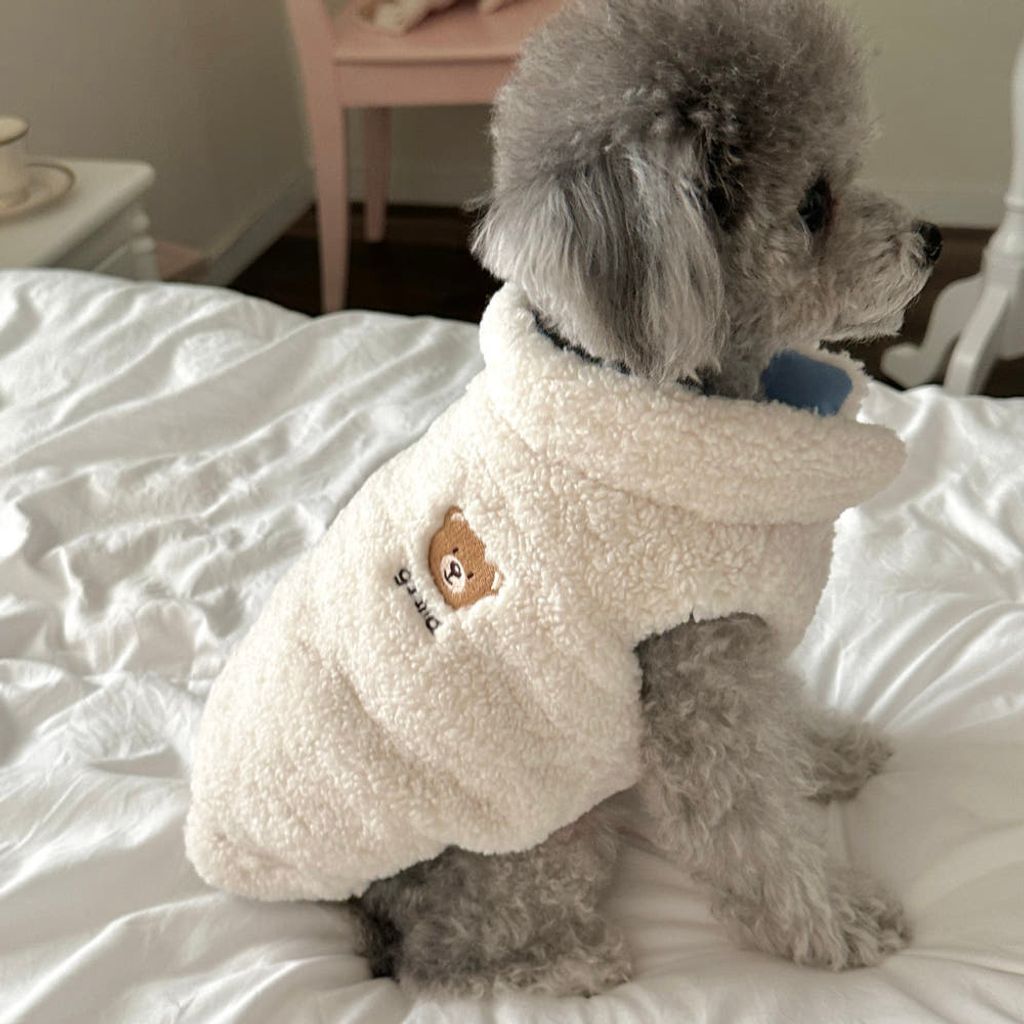 image_FB16FB1F-7DDD-48AC-BB8E-D0DFBF68E545_1769427933