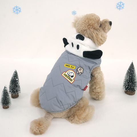 image_9A82AFC6-0690-42B1-A029-D31F42138749_1765255204