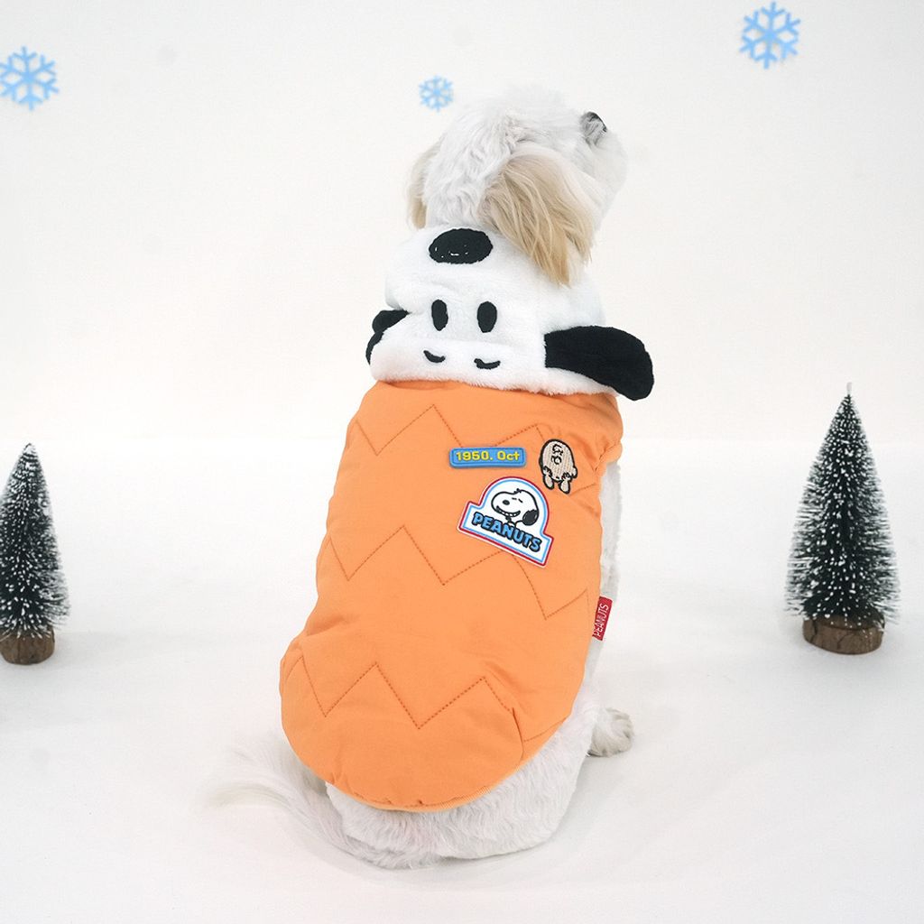 image_30980DAE-F33E-4029-8322-DB266DC3A2CB_1765255204