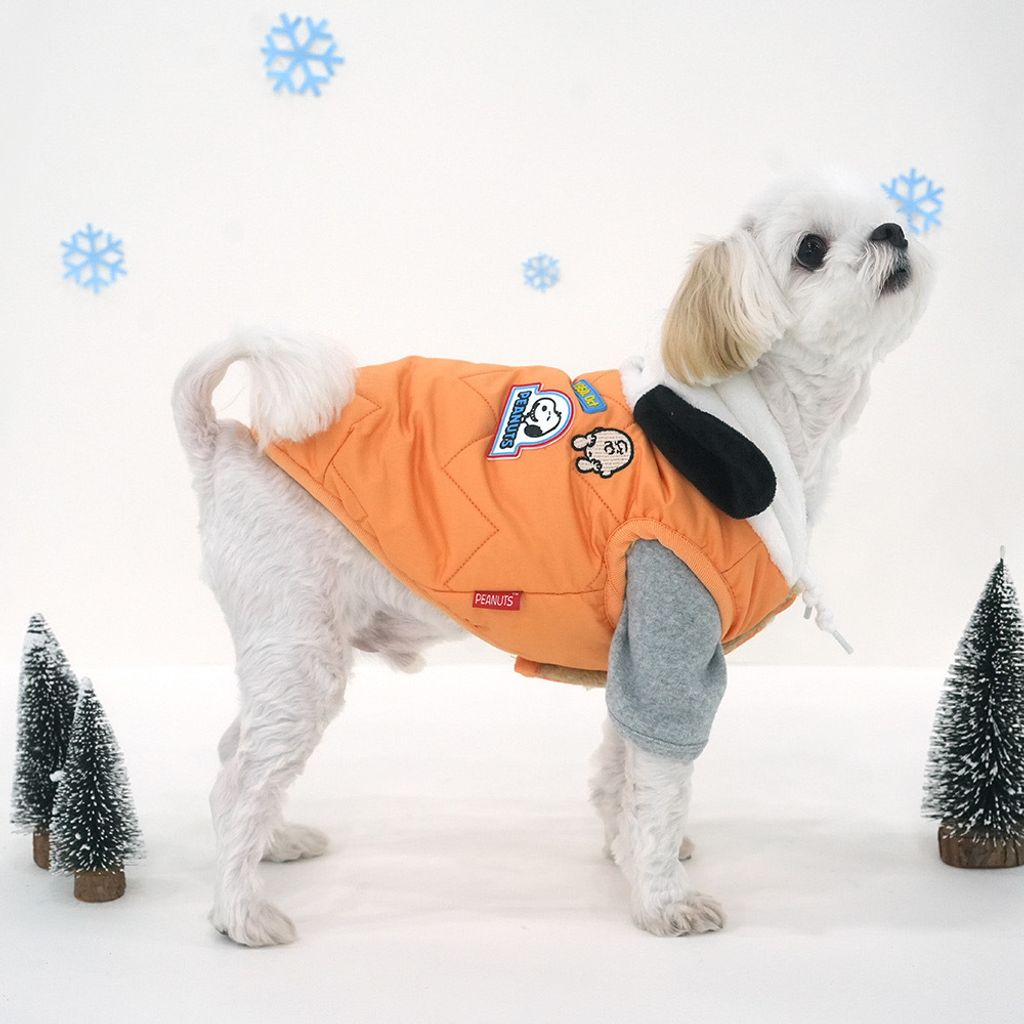 image_BD3C4A1B-D08A-4585-A17D-E2DE5076FE07_1765255204