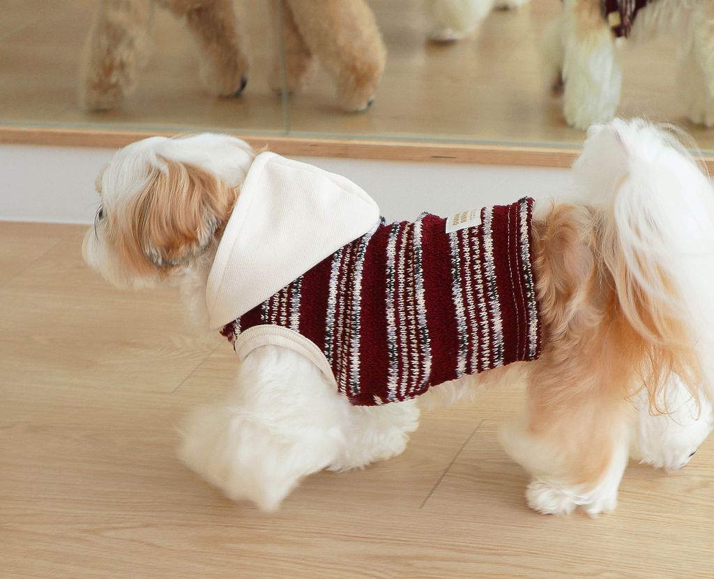 image_AFFDD5D9-E679-4080-8E4A-EDD666BDF48E_1769433665