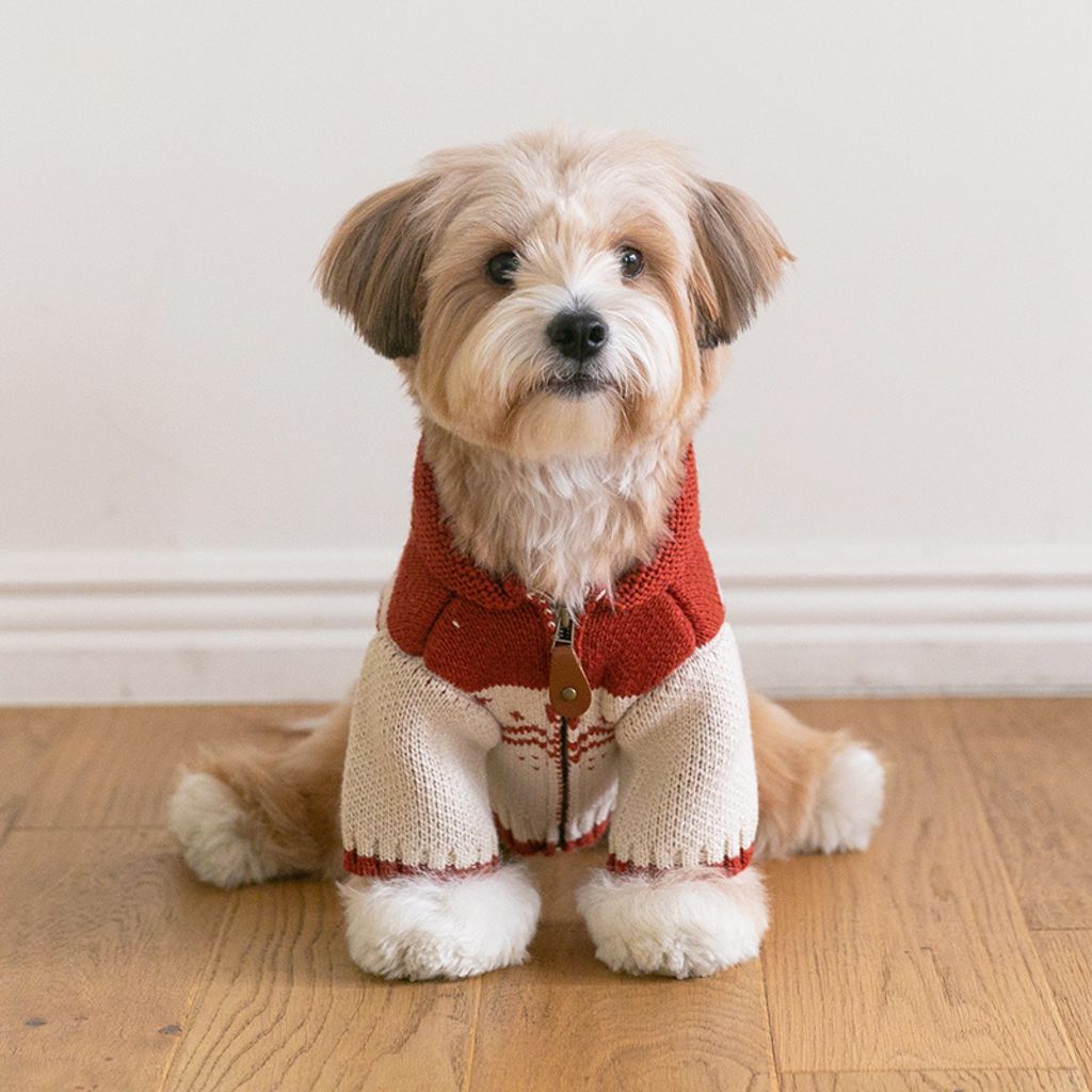 image_3BA24B83-7657-4D42-A273-E440879DB504_1769439822