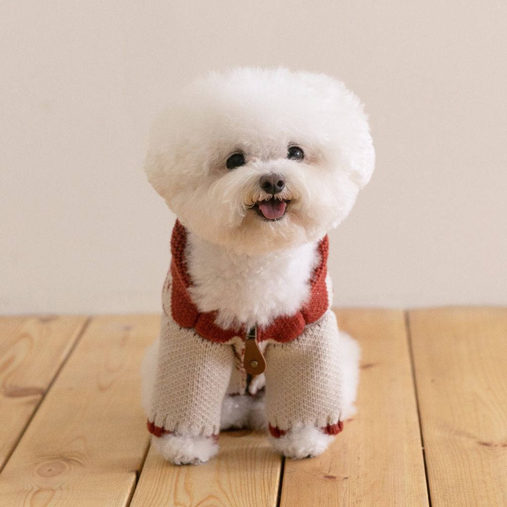 image_5B14A3CB-5743-4C1A-B49C-25DA31A1CF94_1769439822