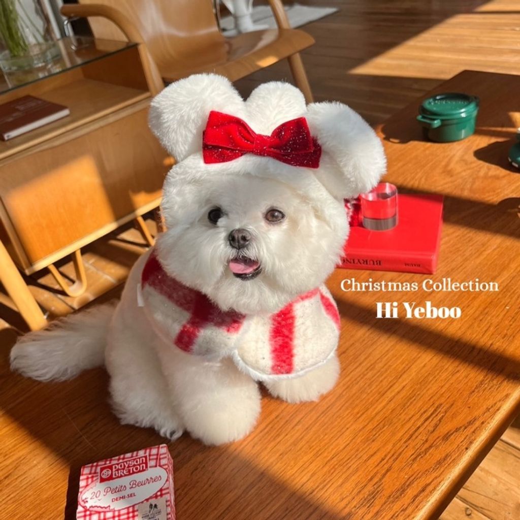 image_C73282F6-AB3D-4AE8-A56D-0FC819566075_1769440239